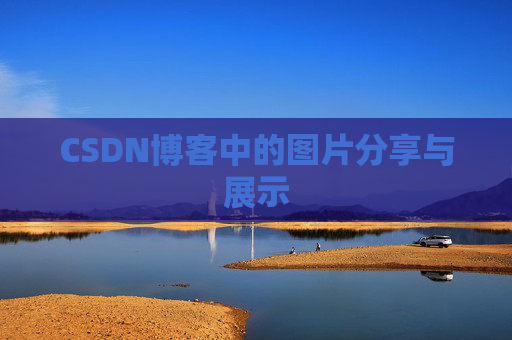 CSDN博客中的图片分享与展示